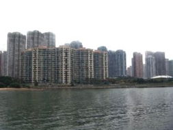 香港中原地產有限公司馬鞍山分行 專業房地產服務的可靠選擇